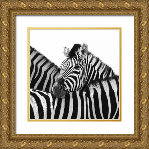 A Safe Place Gold Ornate Wood Framed Art Print with Double Matting by Papiorek, Nina