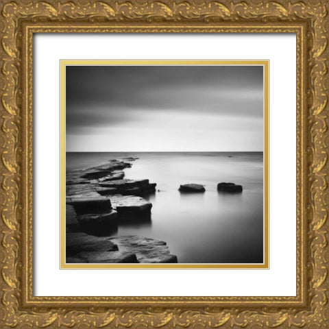 Coastal Calm Gold Ornate Wood Framed Art Print with Double Matting by Papiorek, Nina