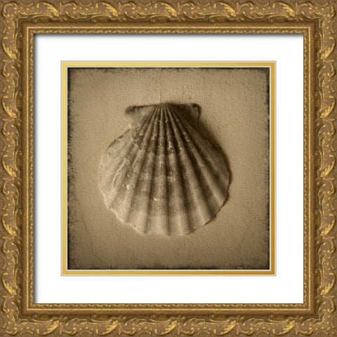 Seashell Study I Gold Ornate Wood Framed Art Print with Double Matting by Heather Jacks