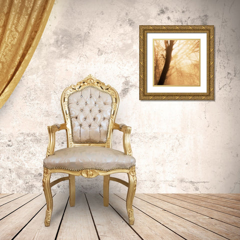 Epiphany III Gold Ornate Wood Framed Art Print with Double Matting by Pelkey, Marvin