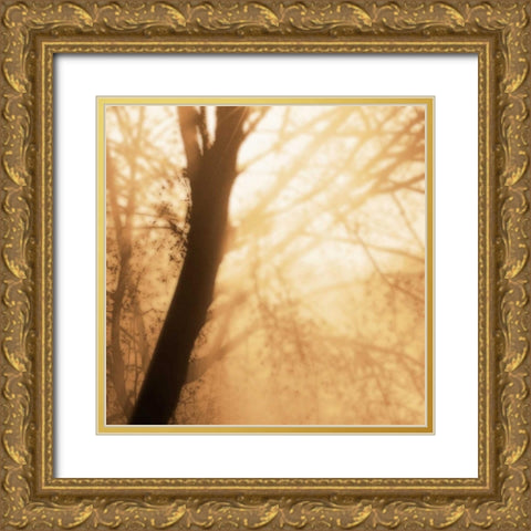 Epiphany III Gold Ornate Wood Framed Art Print with Double Matting by Pelkey, Marvin