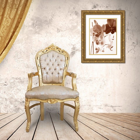 Dreamy Orchids I Gold Ornate Wood Framed Art Print with Double Matting by Szilagyi, lly