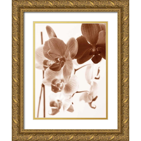 Dreamy Orchids I Gold Ornate Wood Framed Art Print with Double Matting by Szilagyi, lly