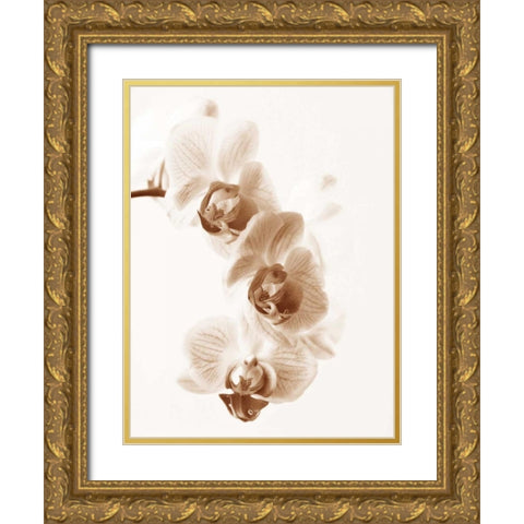 No Boundaries II Gold Ornate Wood Framed Art Print with Double Matting by Szilagyi, lly