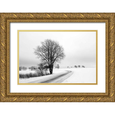 The Way Home Gold Ornate Wood Framed Art Print with Double Matting by Szilagyi, lly
