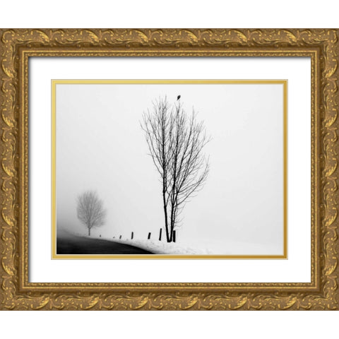 The Messenger Gold Ornate Wood Framed Art Print with Double Matting by Szilagyi, lly