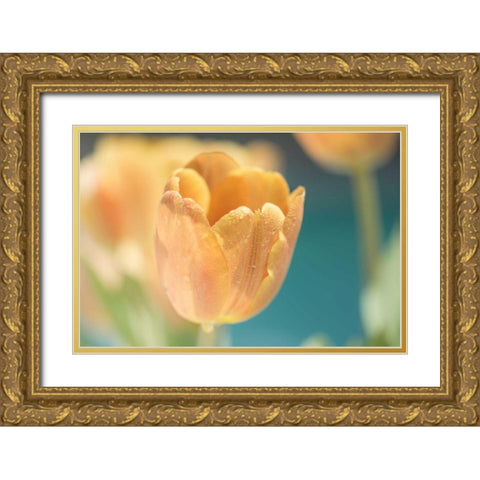 Delightful Gold Ornate Wood Framed Art Print with Double Matting by Marie, Dina