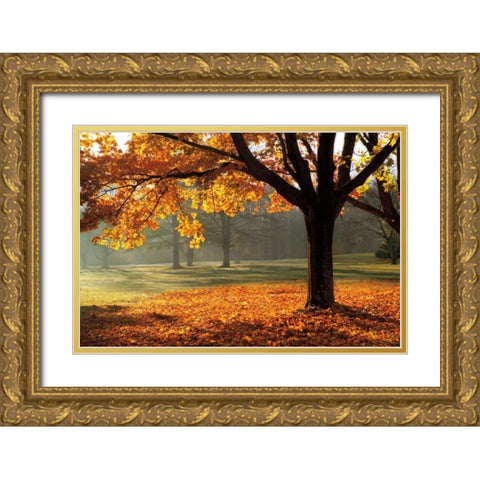 Autumn Gold Ornate Wood Framed Art Print with Double Matting by Jones, Mike