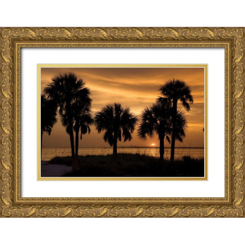 Tropical Park Sunset Gold Ornate Wood Framed Art Print with Double Matting by Jones, Mike