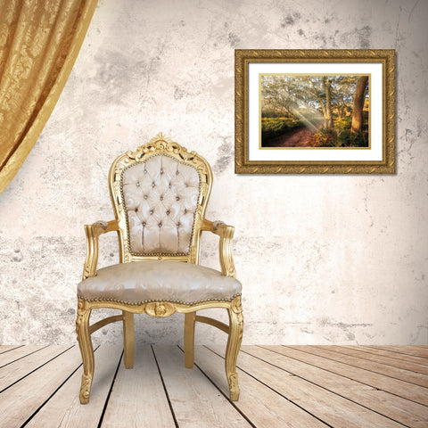 Inspiration Gold Ornate Wood Framed Art Print with Double Matting by Celebrate Life Gallery
