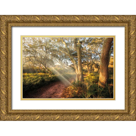 Inspiration Gold Ornate Wood Framed Art Print with Double Matting by Celebrate Life Gallery