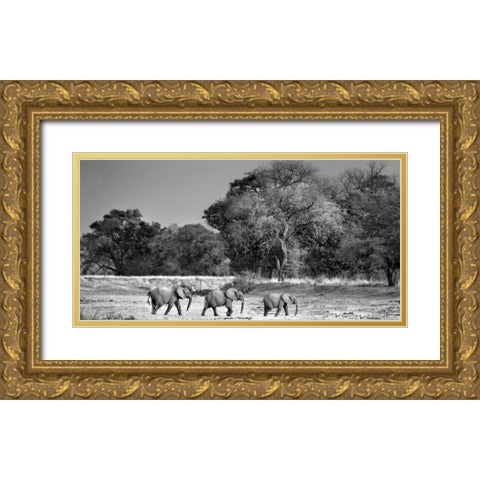 Follow The Leader Gold Ornate Wood Framed Art Print with Double Matting by Ortega, Xavier
