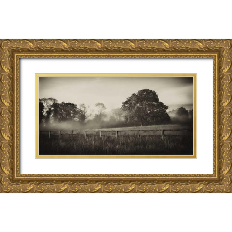 Foggy Day Gold Ornate Wood Framed Art Print with Double Matting by Pahl, Janel