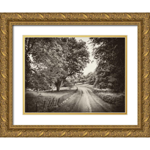 Country Roads Gold Ornate Wood Framed Art Print with Double Matting by Pahl, Janel