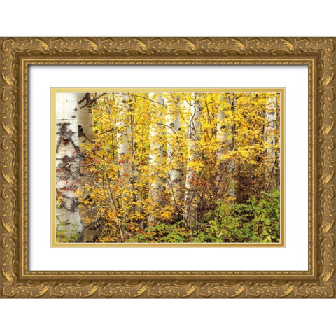 Hiding Gold Ornate Wood Framed Art Print with Double Matting by Pahl, Janel