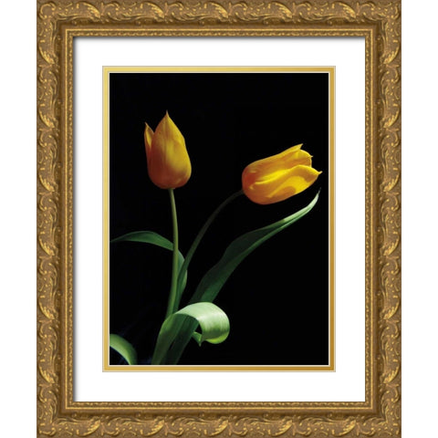 Trust Gold Ornate Wood Framed Art Print with Double Matting by Szilagyi, Ily