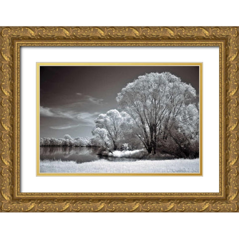 And Quiet Gold Ornate Wood Framed Art Print with Double Matting by Szilagyi, Ily
