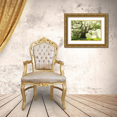 Big and Bright Gold Ornate Wood Framed Art Print with Double Matting by Szilagyi, Ily