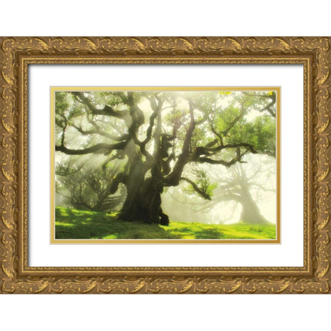 Big and Bright Gold Ornate Wood Framed Art Print with Double Matting by Szilagyi, Ily