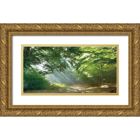 Morning Break Gold Ornate Wood Framed Art Print with Double Matting by Vila, Toni