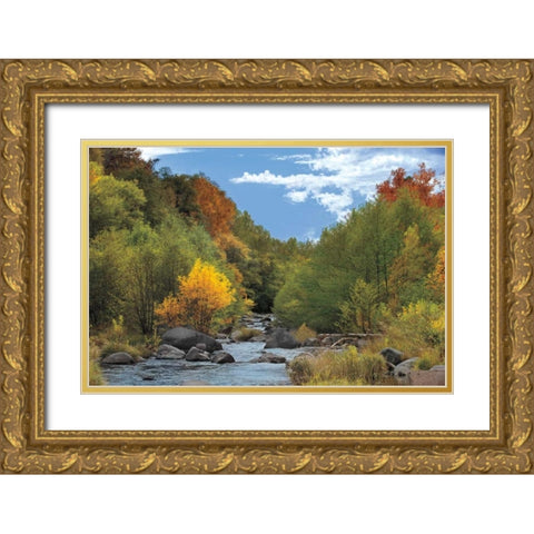 Near Perfect Day Gold Ornate Wood Framed Art Print with Double Matting by Jones, Mike