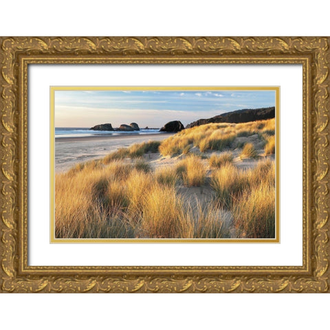 Dune Grass and Beach Gold Ornate Wood Framed Art Print with Double Matting by Frates, Dennis