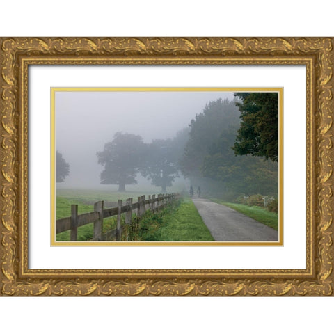 Country Ride Gold Ornate Wood Framed Art Print with Double Matting by Frank, Assaf