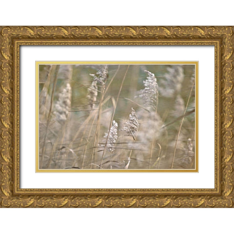 Wind Blown Gold Ornate Wood Framed Art Print with Double Matting by Frank, Assaf