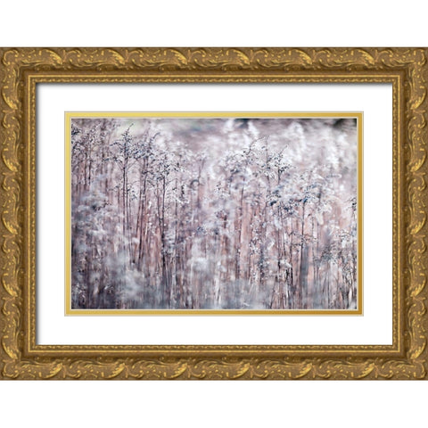 Cotton Tops Gold Ornate Wood Framed Art Print with Double Matting by Frank, Assaf