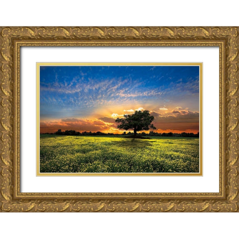 Shadows at Sunset Gold Ornate Wood Framed Art Print with Double Matting by Celebrate Life Gallery