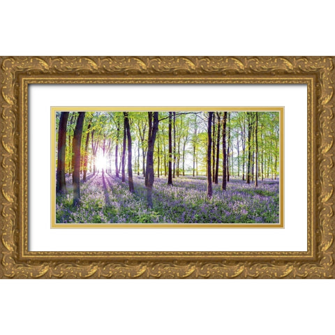Bluebells and Sunrise Gold Ornate Wood Framed Art Print with Double Matting by Frank, Assaf