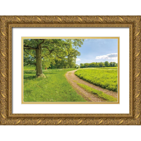 Greenest Pastures Gold Ornate Wood Framed Art Print with Double Matting by Frank, Assaf