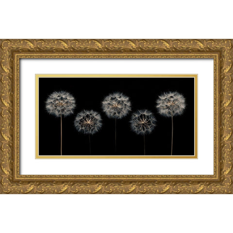 Make A Wish Gold Ornate Wood Framed Art Print with Double Matting by Frank, Assaf