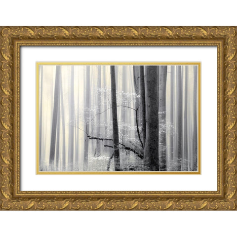 Still Silence Gold Ornate Wood Framed Art Print with Double Matting by Pelkey, Marvin
