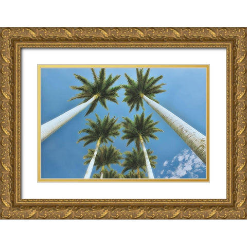 Looking Up  Gold Ornate Wood Framed Art Print with Double Matting by Frates, Dennis