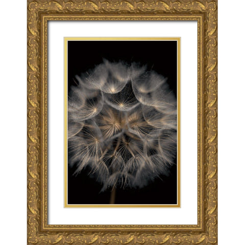 Fragile Beauty Gold Ornate Wood Framed Art Print with Double Matting by Frank, Assaf
