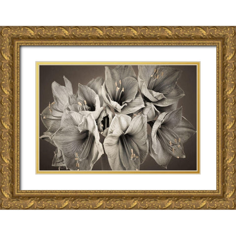 Grand Floral Gold Ornate Wood Framed Art Print with Double Matting by Frank, Assaf
