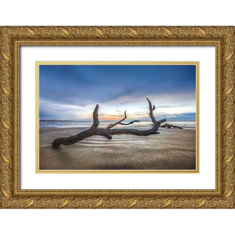 Bones Beach Gold Ornate Wood Framed Art Print with Double Matting by Celebrate Life Gallery