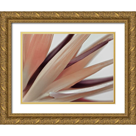 Heliconia Harmony Gold Ornate Wood Framed Art Print with Double Matting by Frank, Assaf