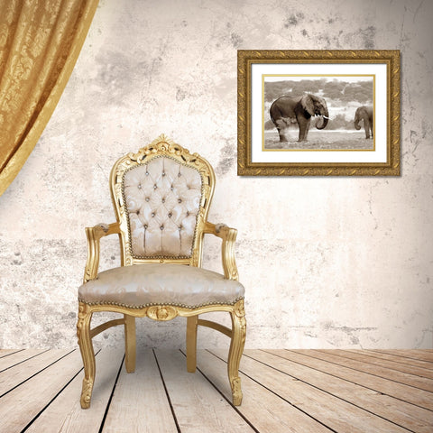 Bath Time Gold Ornate Wood Framed Art Print with Double Matting by Llovet, Jorge