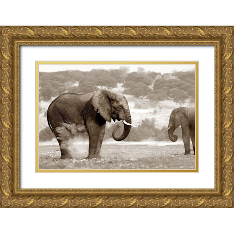 Bath Time Gold Ornate Wood Framed Art Print with Double Matting by Llovet, Jorge
