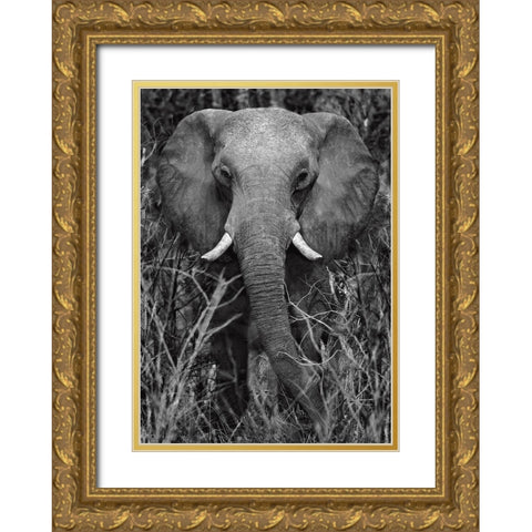 Strength Gold Ornate Wood Framed Art Print with Double Matting by Ortega, Xavier