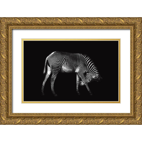 Zebra Solo Gold Ornate Wood Framed Art Print with Double Matting by Ortega, Xavier