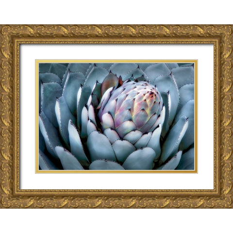 Blue Star Gold Ornate Wood Framed Art Print with Double Matting by Frates, Dennis