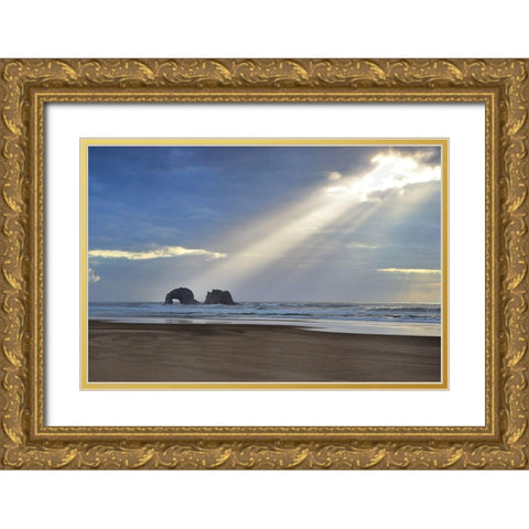 A Break of Sunshine Gold Ornate Wood Framed Art Print with Double Matting by Frates, Dennis