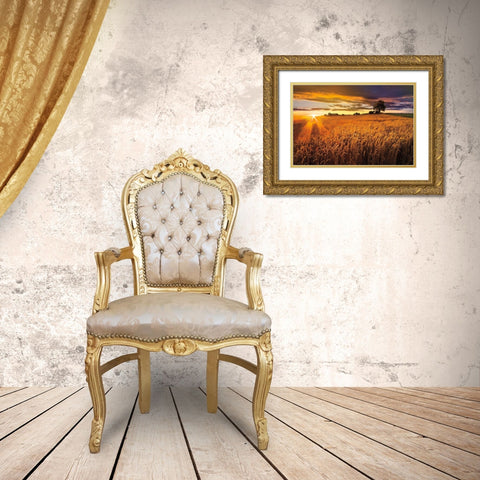 Sunlight On the Wheat Fields Gold Ornate Wood Framed Art Print with Double Matting by Celebrate Life Gallery