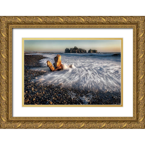 Back Splash Gold Ornate Wood Framed Art Print with Double Matting by Burt, D.