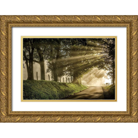 All Aglow Gold Ornate Wood Framed Art Print with Double Matting by Burt, D.