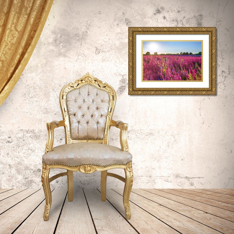 Delphinium Field Gold Ornate Wood Framed Art Print with Double Matting by Frank, Assaf