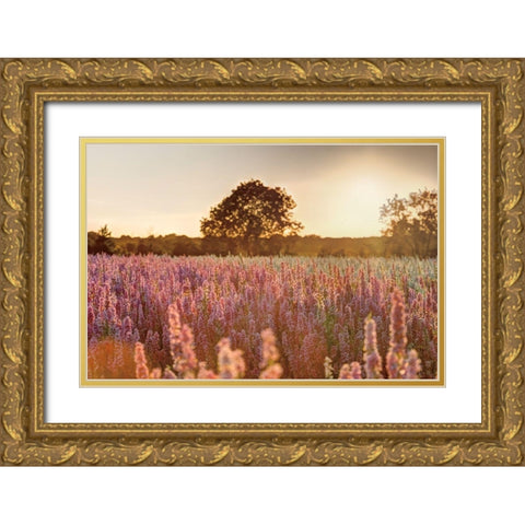 Delphinium Sunset Gold Ornate Wood Framed Art Print with Double Matting by Frank, Assaf